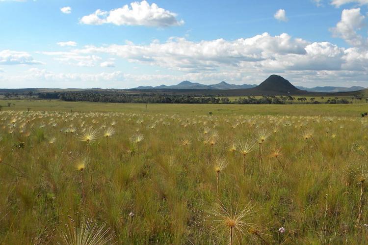 Cerrado Protected Areas Chapada Dos Veadeiros And Emas National Parks Cerrado Biosphere 2105